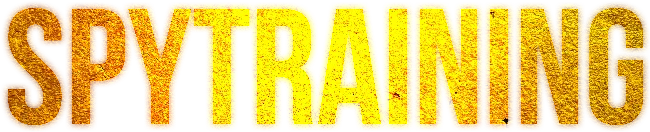 logo-spyrtaing